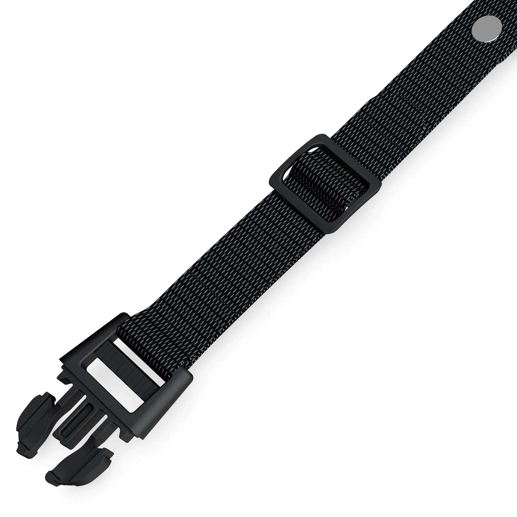 RC09 Dog Training Collar