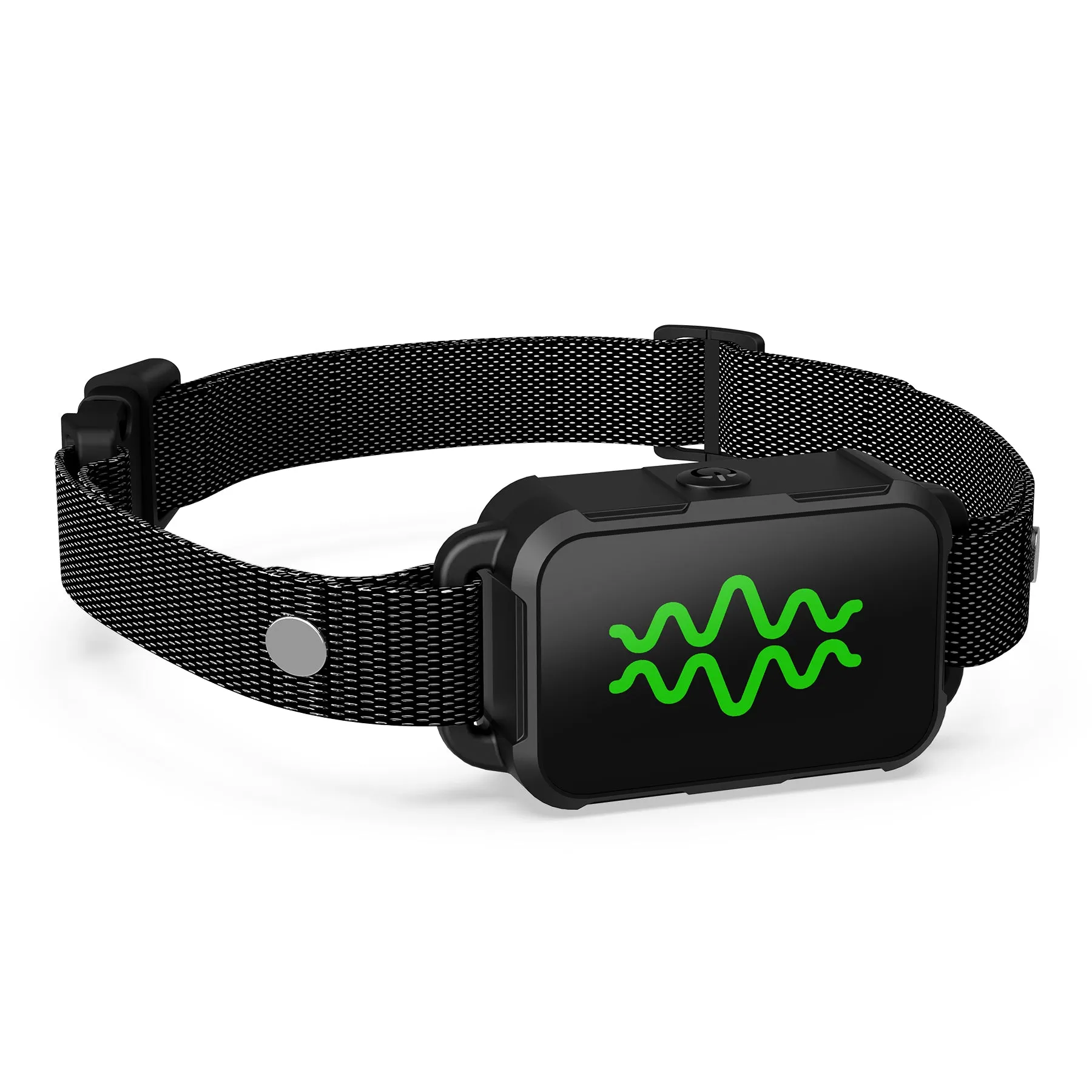 RC09 Dog Training Collar