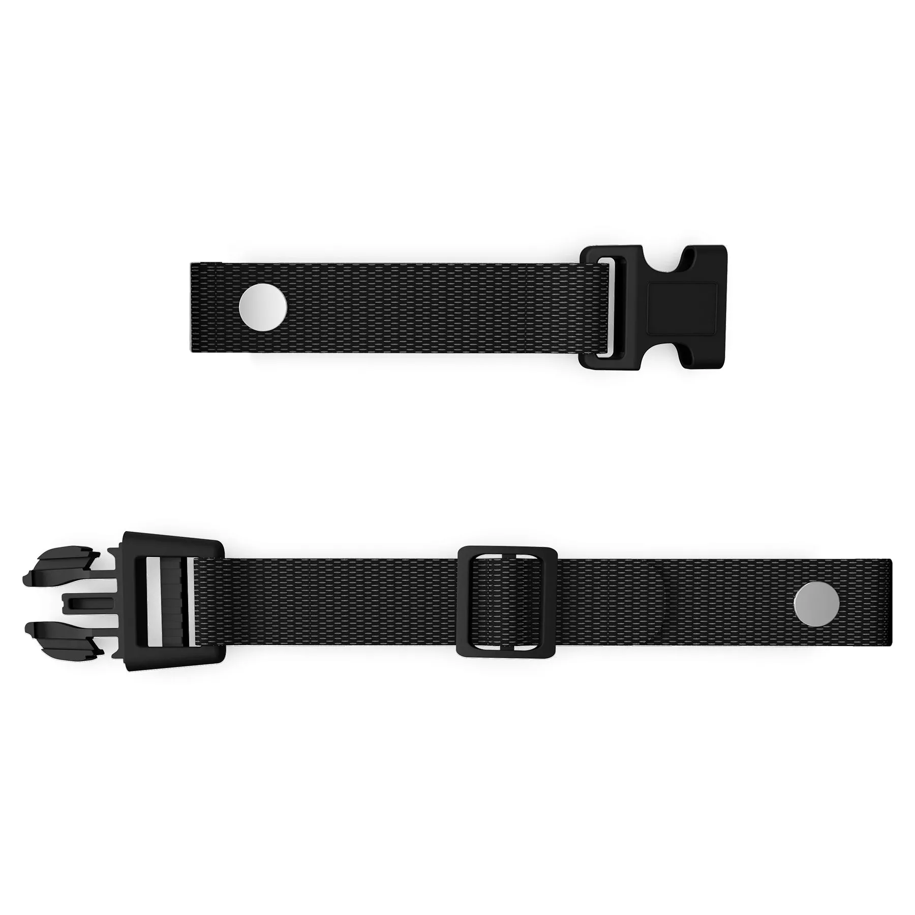 RC09 Dog Training Collar