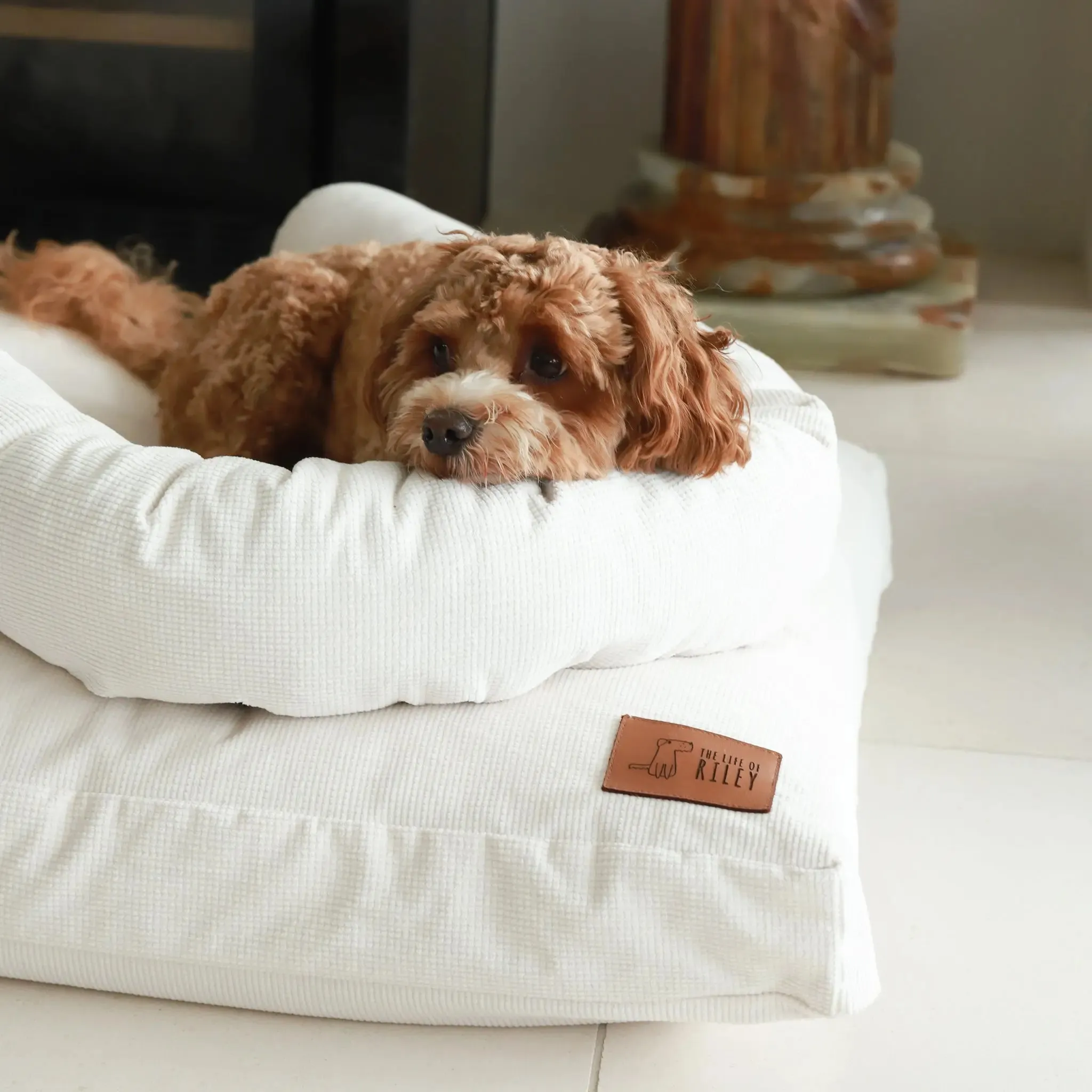 Spare Cover - The Original Dog Bed