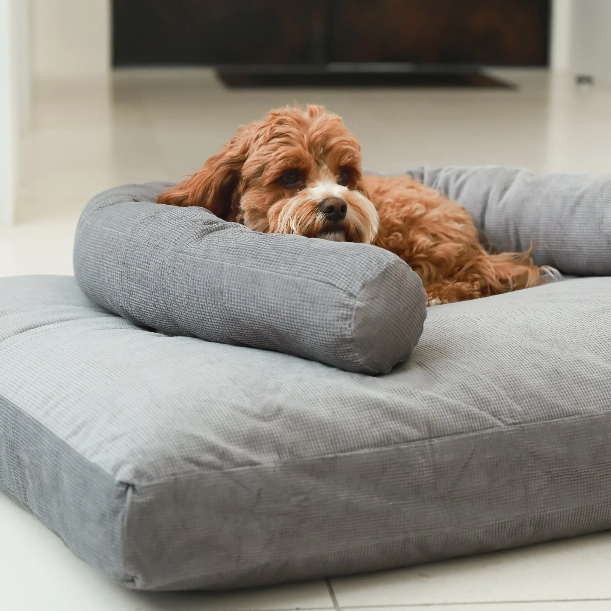 Spare Cover - The Original Dog Bed