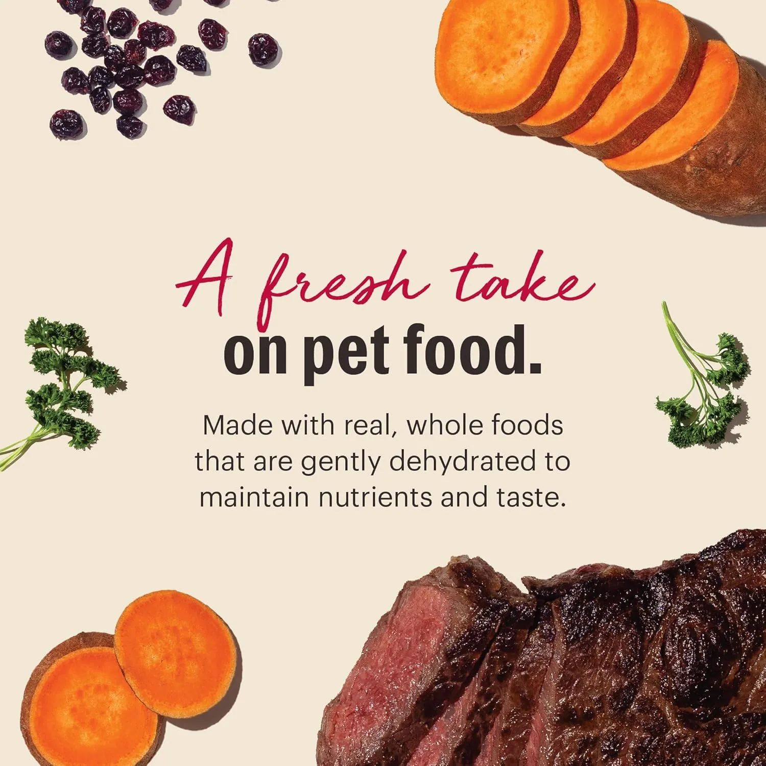 The Honest Kitchen Human Grade Dehydrated Grain Free Dog Food  Complete Meal or Dog Food Topper  Beef 4 lb (makes 16 lbs)