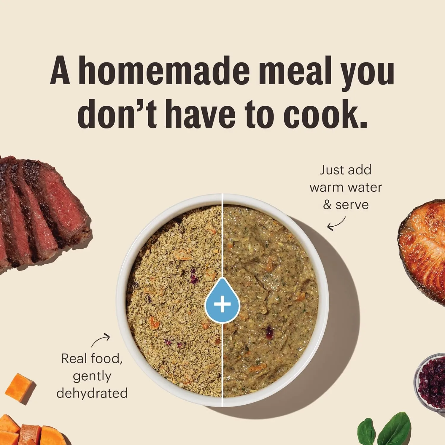 The Honest Kitchen Human Grade Dehydrated Grain Free Dog Food  Complete Meal or Dog Food Topper  Beef 4 lb (makes 16 lbs)