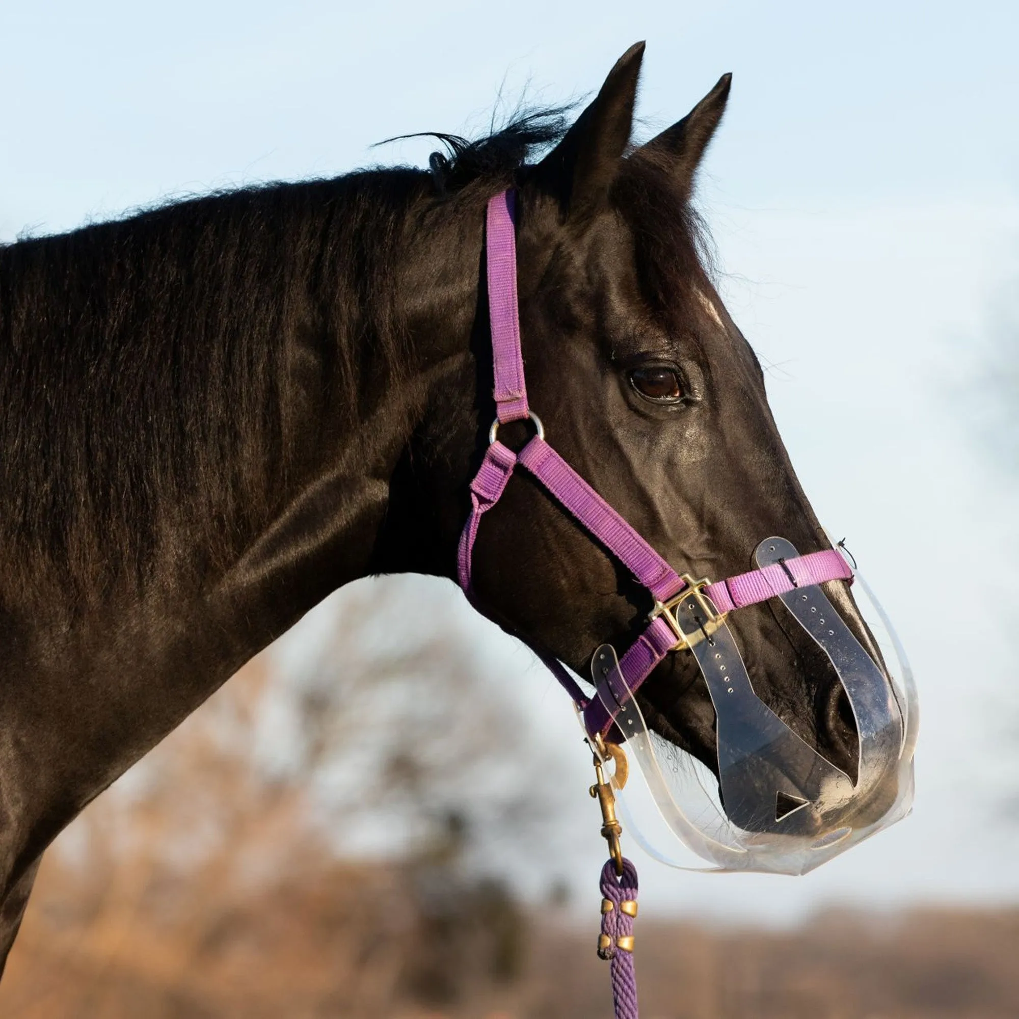 Thinline Flexible Filly Grazing Muzzle