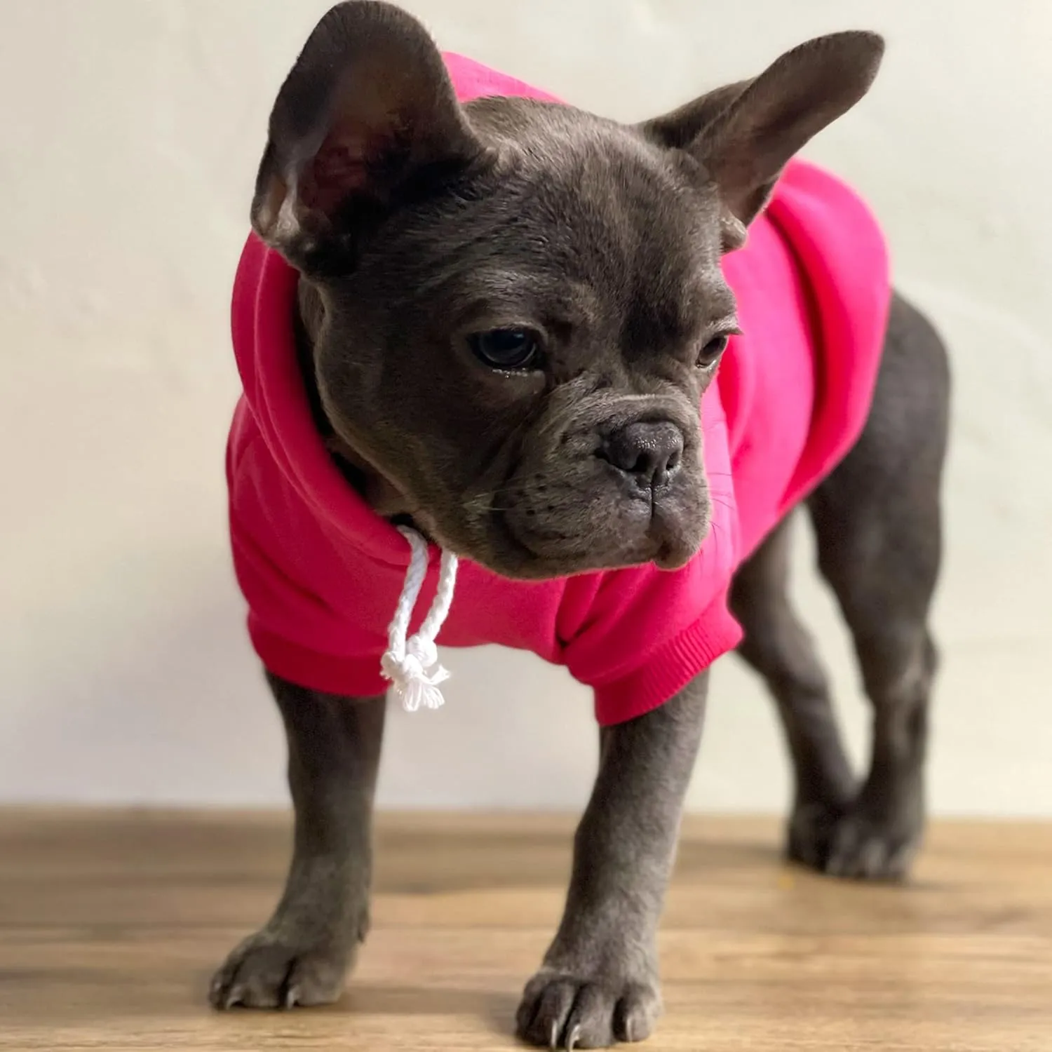 We Do Too Wedding Engagement Announcement Dog Hoodie Fleece Lined Pullover Sweatshirt with Leash Hole (Royal Blue, 4X-Large 81)